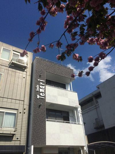 Guest house Hale Temari Gosho